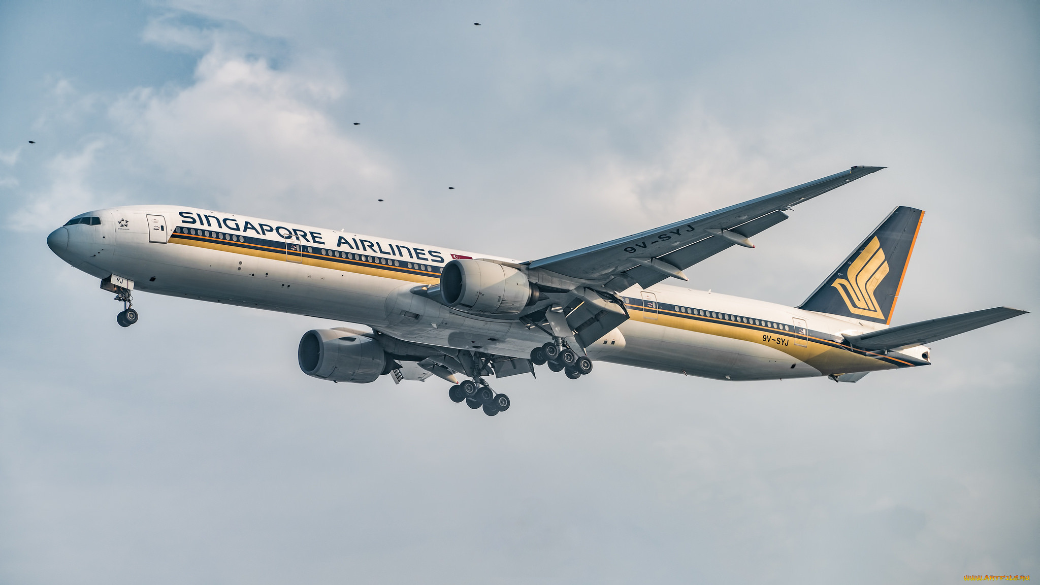 airlines b777-300, ,  , 
